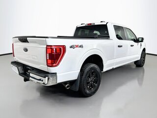 2023 Ford F-150 XLT — photo 3