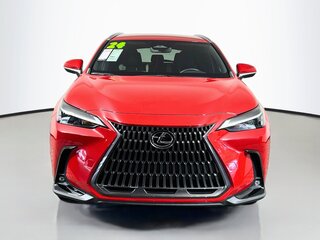 2024 Lexus NX 250 — photo 8