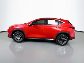 2024 Lexus NX 250 — photo 6