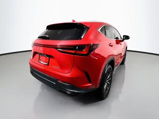 2024 Lexus NX 250 — photo 3