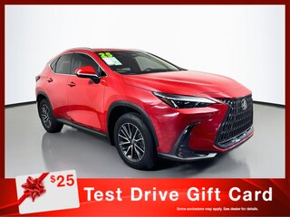 2025 Lexus NX 250 — photo 1