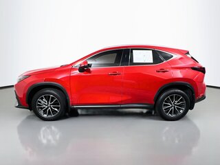2025 Lexus NX 250 — photo 6