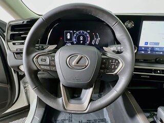 2024 Lexus RX 350 — photo 15