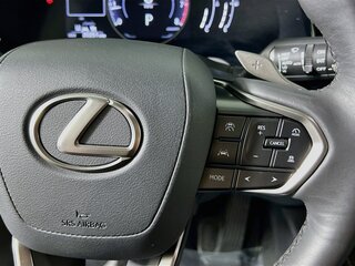 2024 Lexus RX 350 — photo 17