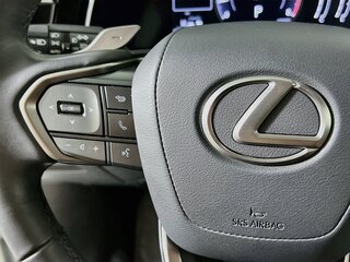2024 Lexus RX 350 — photo 16