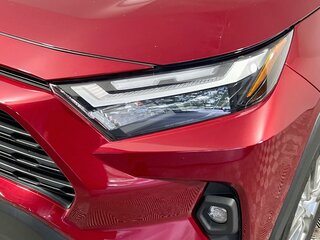 2025 Toyota Rav4 XLE Premium — photo 9