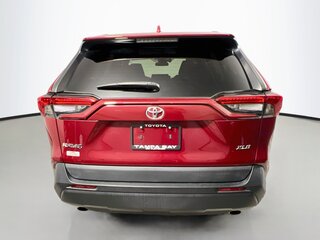 2023 Toyota Rav4 XLE — photo 4