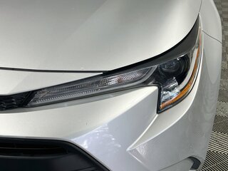 2024 Toyota Corolla LE — photo 9