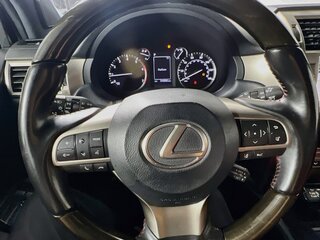 2021 Lexus GX Base — photo 15