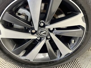 2020 Lexus NX Hybrid 300h — photo 11