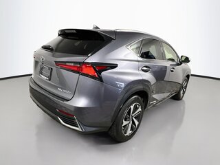2020 Lexus NX Hybrid 300h — photo 3