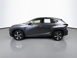 2020 Lexus NX Hybrid 300h — photo 6