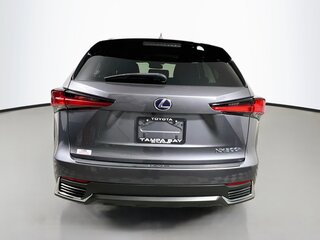 2020 Lexus NX Hybrid 300h — photo 4