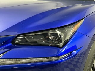 2021 Lexus NX 300 F SPORT — photo 9