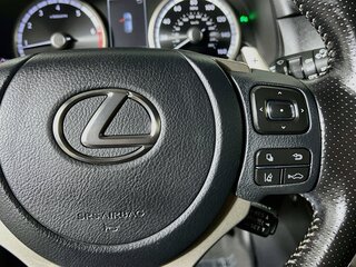 2021 Lexus NX 300 F SPORT — photo 17