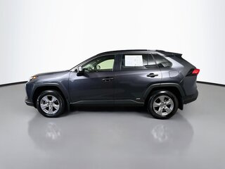 2025 Toyota Rav4 XLE — photo 6