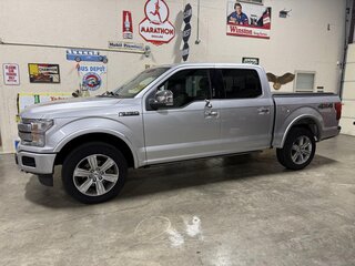 2019 Ford F-150 SuperCrew Platinum 4X4 — photo 2