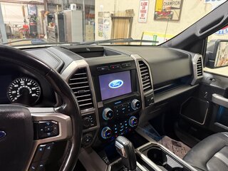 2019 Ford F-150 SuperCrew Platinum 4X4 — photo 12