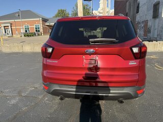 2019 Ford Escape SEL FWD — photo 4