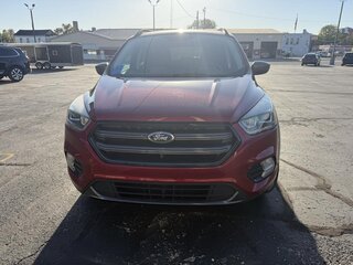 2019 Ford Escape SEL FWD — photo 8