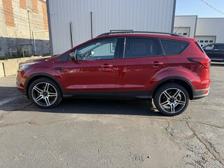 2019 Ford Escape SEL FWD — photo 2